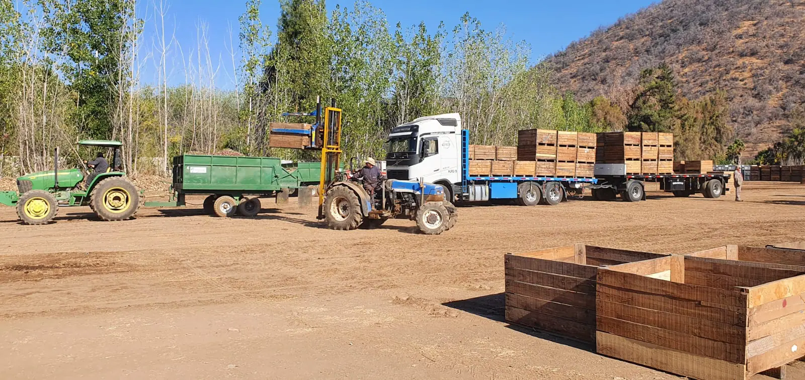 Campos agrícolas Bridge