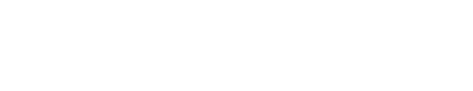 Bridge Ventures Group